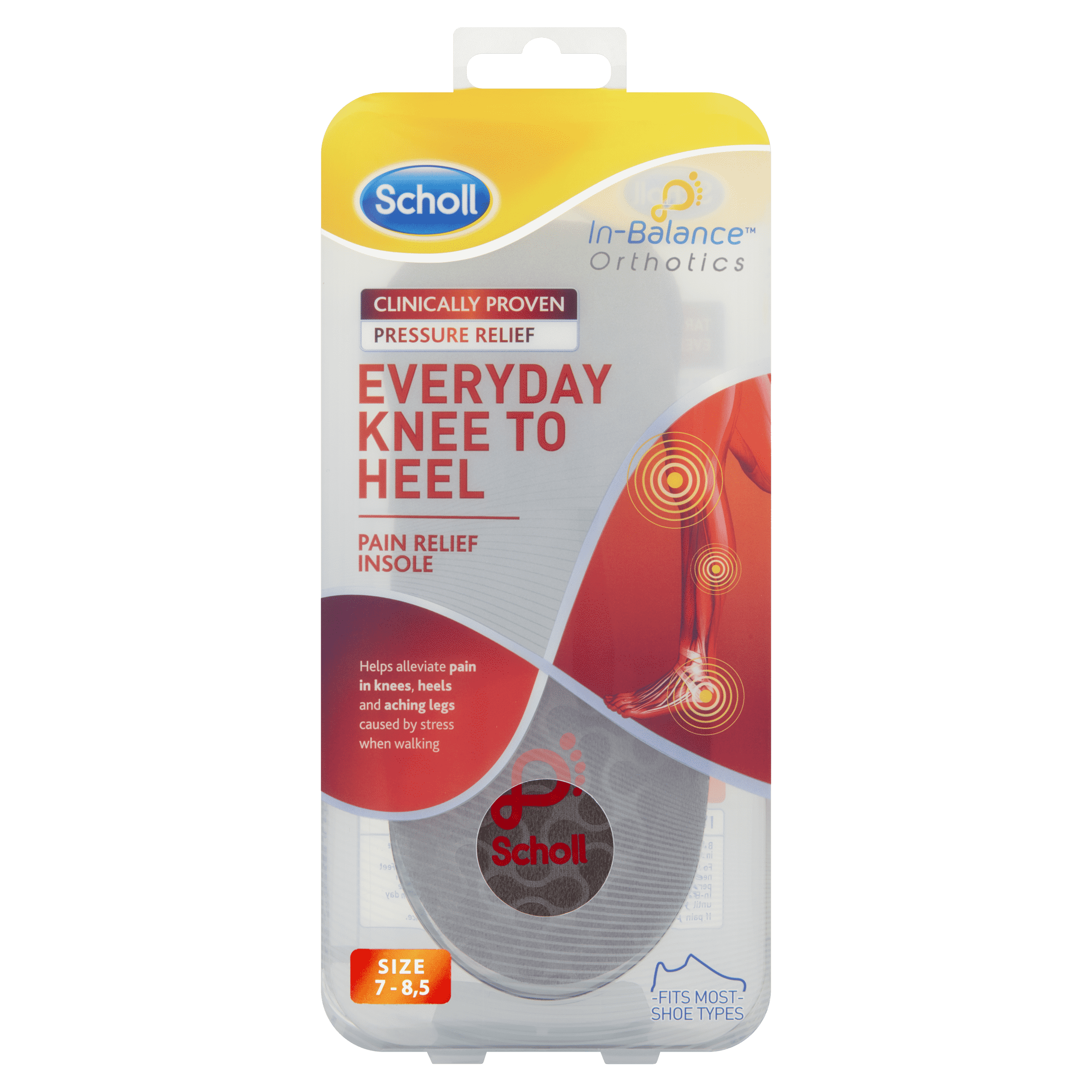 Orthotic Everyday Knee to Heel Medium